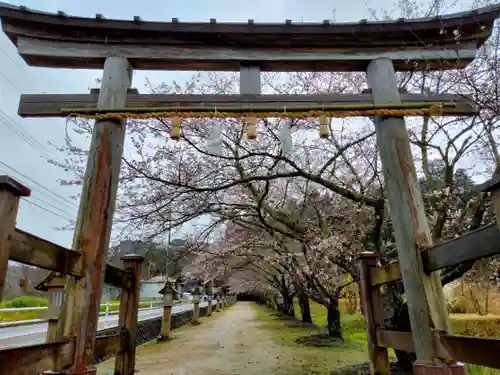 神魂神社の鳥居