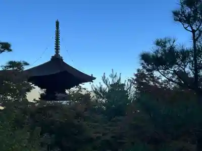 常寂光寺(京都府)