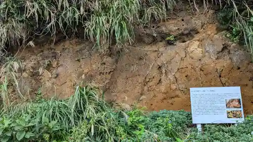 江島神社の自然