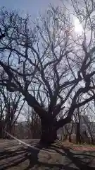 相馬神社(北海道)