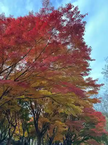 山神社(長野県)