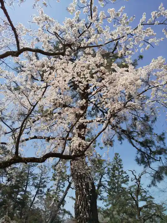 水火天満宮の自然