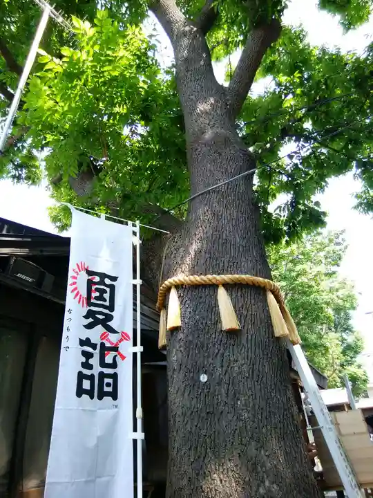 札幌諏訪神社の自然