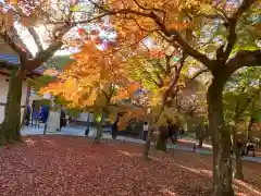 東福禅寺（東福寺）の建物その他