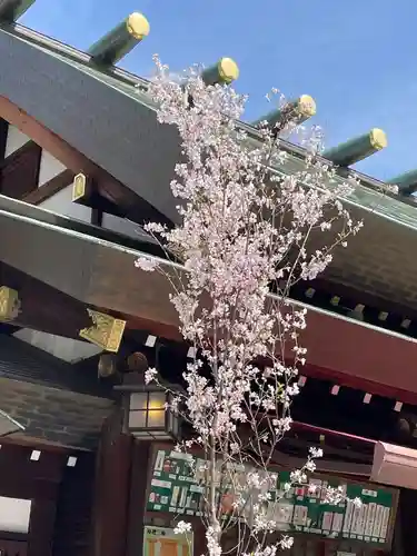 東京大神宮(東京都)