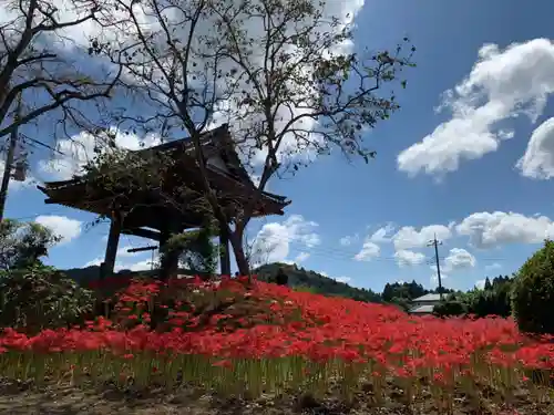 妙満寺のその他建物