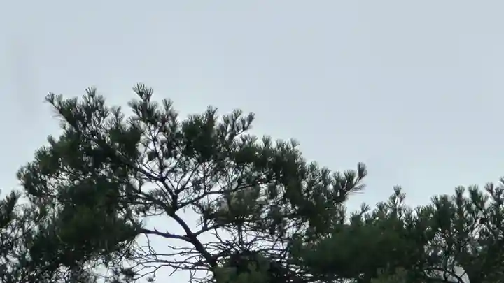 新荘護國神社(山形県)