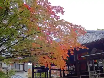 秩父札所１番　四萬部寺の本殿・本堂