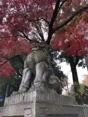 秩父神社の狛犬