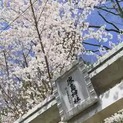 豊景神社の自然