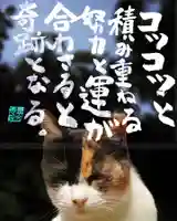 専念寺(大阪府)