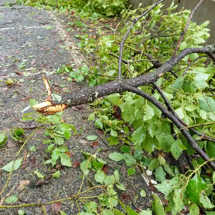 諫早神社(九州総守護 四面宮)(長崎県)