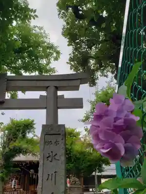 本郷氷川神社(東京都)