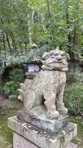 美具久留御魂神社の狛犬