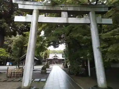 東村山八坂神社の鳥居