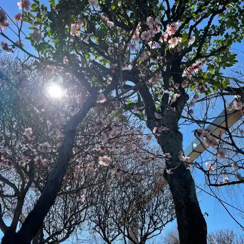 白山神社の自然
