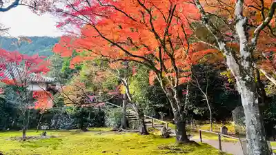 神護寺(京都府)