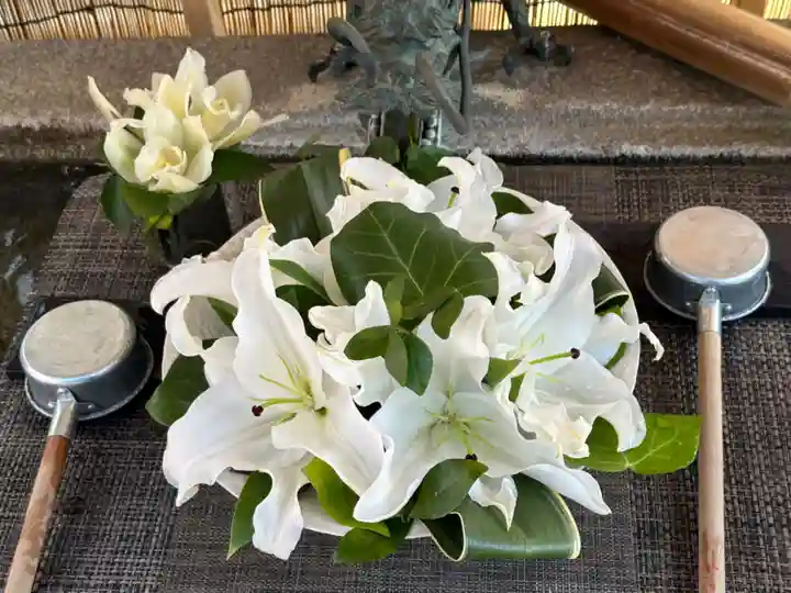 徳島眉山天神社(徳島県)