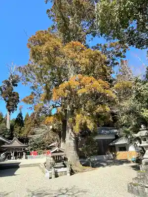 國津神社(奈良県)