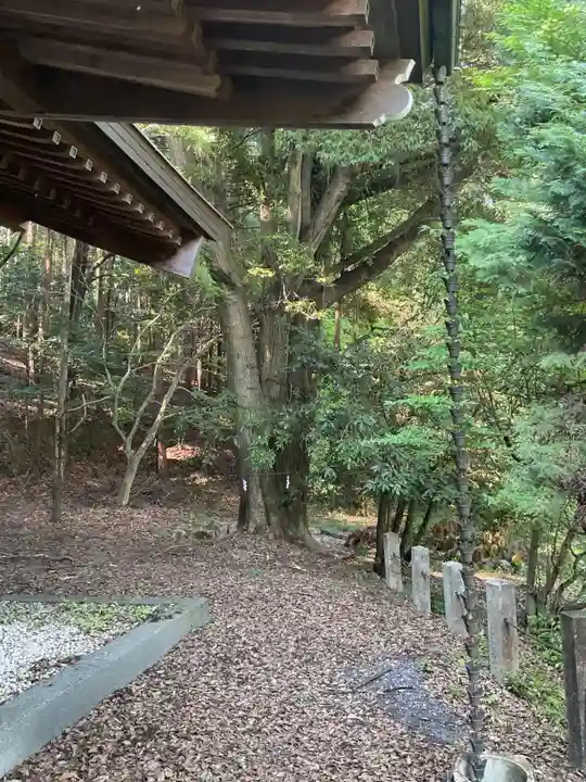 神明神社(大薮町)の自然