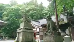 戸隠神社中社の狛犬