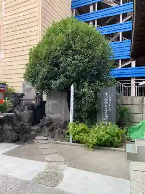 氷川鍬神社(埼玉県)