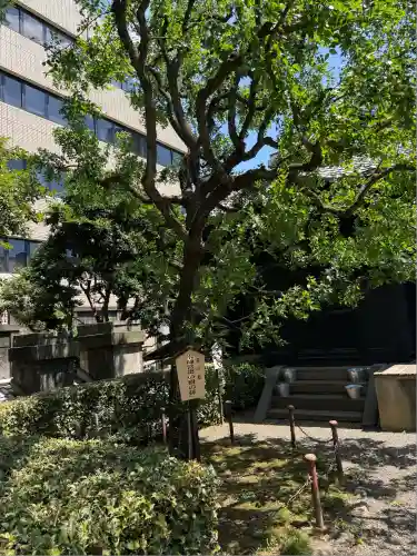 乃木神社(東京都)