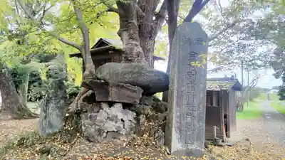金村別雷神社(茨城県)