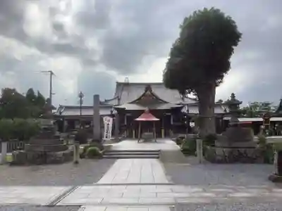 乙津寺　（鏡島弘法）の本殿・本堂