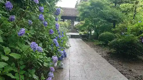 大聖寺（土浦大師不動尊）のその他建物