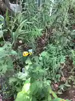 川原神社(愛知県)