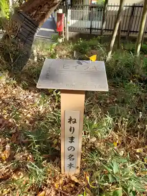 愛宕神社の自然