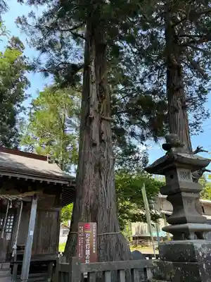 鹿島神社(茨城県)