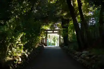 渋谷氷川神社の鳥居