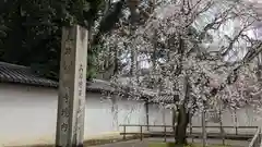 醍醐寺(京都府)