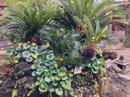 徳満寺(茨城県)