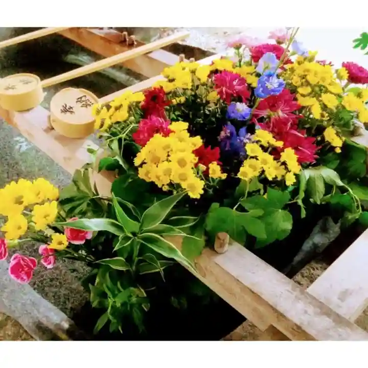 彌彦神社 (伊夜日子神社)の手水舎