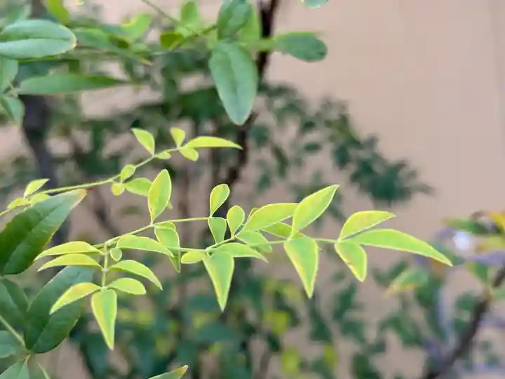 西方山極楽寺(岐阜県)