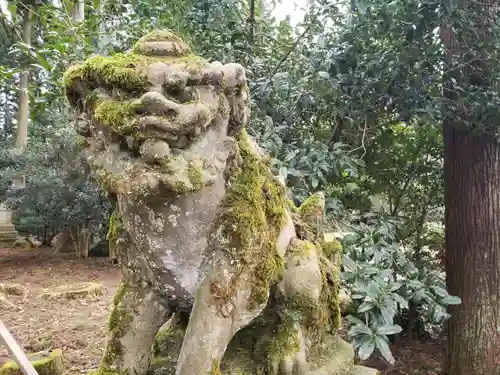 栴壇野神社の狛犬