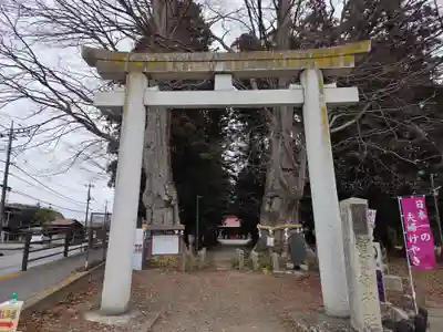 智賀都神社(栃木県)