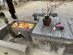 菅原天満宮（菅原神社）(奈良県)