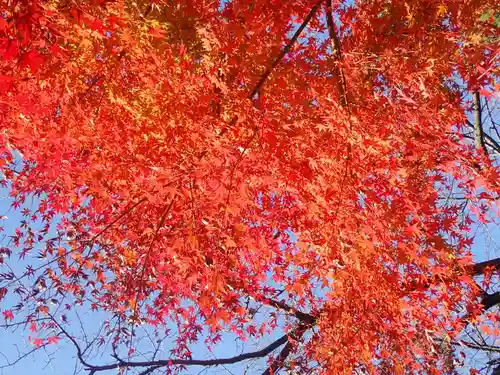 戸部杉山神社(神奈川県)