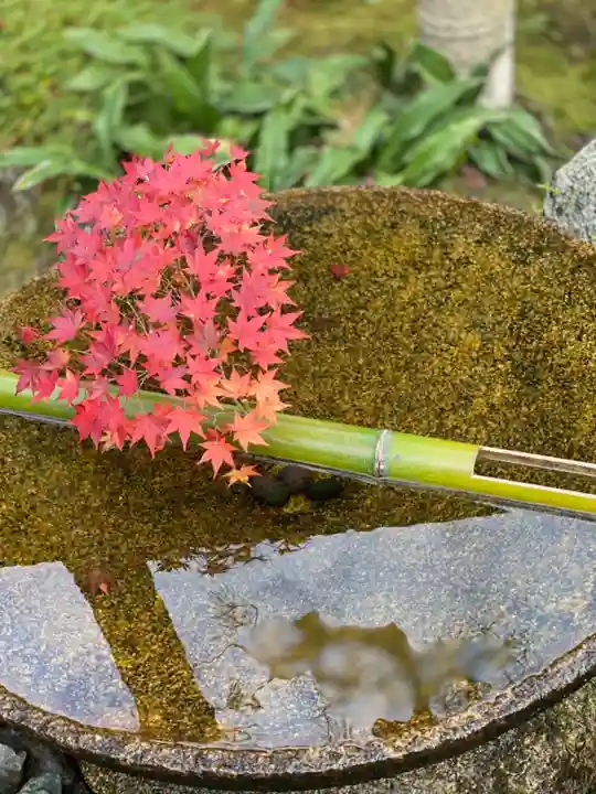 圓光寺の手水舎