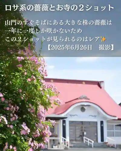 宝光寺(北海道)