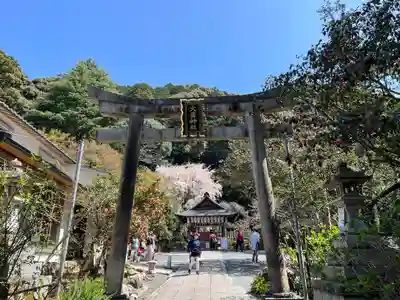 大豊神社(京都府)