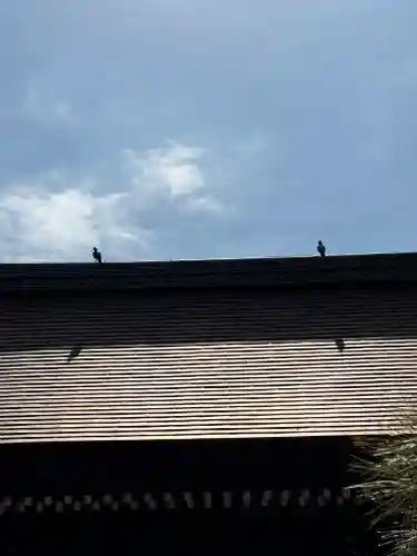 城南宮(京都府)