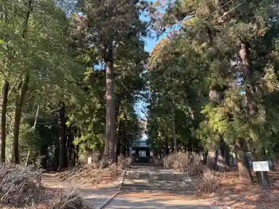 大中寺(栃木県)