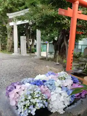 本郷氷川神社(東京都)