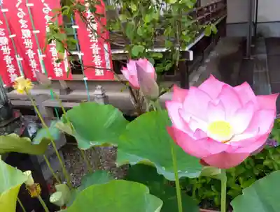 光榮寺(群馬県)
