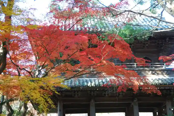 功山寺(山口県)
